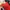 ZARA Luxury Maxi dress Wanita red photo 5
