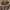 Shoulder bag (Guess) Kulit burung photo 2
