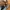 Spao parachute cargo pants Bahan nylon parasut tebal  type w photo 3