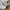 Nike Casual Sportswear Sneakers Wanita white photo 2