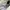 Nike Casual Sportswear Sneakers Wanita white photo 8