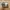 Nike Casual Sportswear Sneakers Wanita white photo 5
