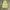 Taylor Brooke Lime Warm Quilted Vest Zip Front Good Shape  photo 6