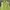 Taylor Brooke Lime Warm Quilted Vest Zip Front Good Shape  photo 2