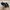 Adidas Casual Sneakers Pria white black photo 4