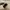 Adidas Casual Sneakers Pria white black photo 6