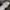 Nike Air Jordan 1 Low SE Concord photo 6