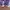 Nike Casual Sneakers Kids multicolor photo 4