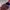 Nike Casual Sneakers Kids multicolor photo 5