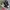 NIKE AIR JORDAN 1 HIGH NO PHOTOS NOT FORSALE SIZE 41 (26 cm) photo 1