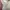 Longdress knit pressbody photo 3