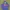 Hoodie Zipper GAP
