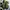 Nike TN Air Max Plus Camo Grey photo 3