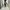 Fairy Coquette Prom dress Wanita white photo 4