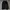 Hoodie adidas treefoil original photo 7
