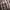 Burberry London Belt Trench Coat photo 7
