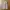 Dazy by shein korea parachute cargo pants photo 7