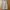 Dazy by shein korea parachute cargo pants photo 1