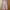 Dazy By Shein Korea Parachute Cargo Pants