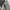 ZARA Luxury Maxi dress Wanita gray photo 6