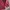 Crewneck Wanita Pink  photo 6