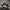 Burberry London Short Trench coat photo 6