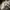 Burberry London Short Trench coat photo 7
