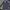 Burberry London Short Trench Coat