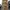 DF Maxi Trench Coat LIST Korean Brand photo 2