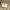 Blossom H Company The Trench Coat Beige Super Long photo 7