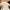 Blossom H Company The Trench Coat Beige Super Long photo 5