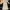 Blossom H Company The Trench Coat Beige Super Long photo 1