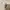 Blossom H Company The Trench Coat Beige Super Long photo 4