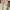 Blossom H Company The Trench Coat Beige Super Long photo 3