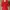 SUPER PREMIUM MARGARETH RED DRESS photo 4