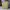 Knitwear Rajut Polo Ralph Lauren V-Neck Mens Yellow colour S photo 1