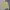 Knitwear Rajut Polo Ralph Lauren V-Neck Mens Yellow colour S photo 2