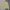 Knitwear Rajut Polo Ralph Lauren V-Neck Mens Yellow Colour S