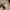 CAT Caterpillar Est 1925 Mesh Trucker Hat photo 7