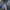 Denim carnivores soul 19 oz photo 1