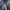 Denim Carnivores Soul 19 Oz