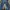 Denim carnivores soul 19 oz photo 3