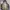 OUTDOOR JACKET by MONTBELL GORETEX photo 2