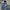 WINTER SNOWBOARDING JACKET COAT By GRANADE FATIGUE PROJECT X