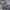 WINTER SNOWBOARDING JACKET COAT by GRANADE FATIGUE PROJECT x photo 2