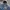 WINTER SNOWBOARDING JACKET COAT by GRANADE FATIGUE PROJECT x photo 4