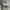 Kemeja H&M formal /kantoran/kuliahan photo 3
