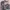 crop serut photo 1