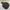 Jacket winter mountain parka goose down bulu angsa merrell photo 2