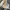 Jacket winter mountain parka goose down bulu angsa merrell photo 3